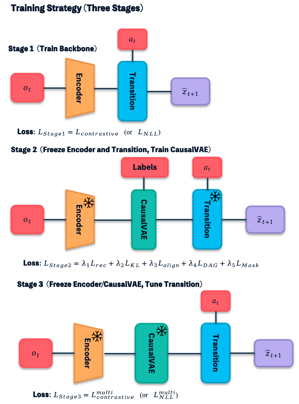 Stage 1 trains the predictive backbone. Stage 2 freezes the encoder and transition while fitting the structural branch. Stage 3 freezes the encoder and CausalVAE while tuning the transition on multi-step objectives.